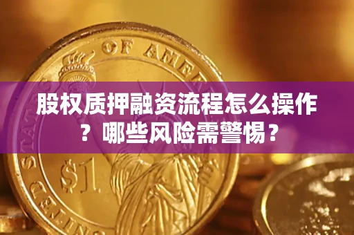 武汉股权质押融资流程怎么操作？哪些风险需警惕？