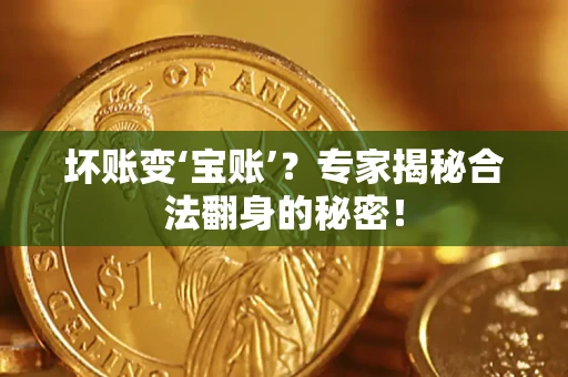 武汉坏账变‘宝账’？专家揭秘合法翻身的秘密！