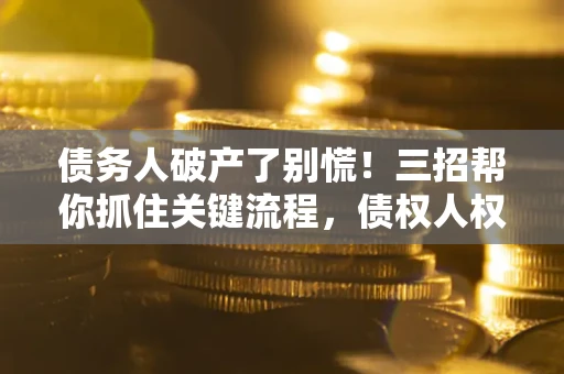 武汉债务人破产了别慌！三招帮你抓住关键流程，债权人权益不再缩水