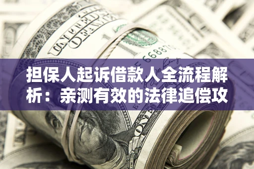 武汉担保人起诉借款人全流程解析：亲测有效的法律追偿攻略