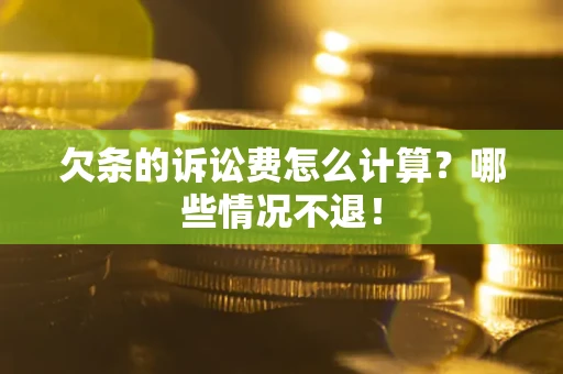 武汉欠条的诉讼费怎么计算？哪些情况不退！
