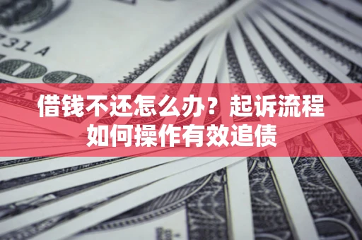 武汉借钱不还怎么办？起诉流程如何操作有效追债