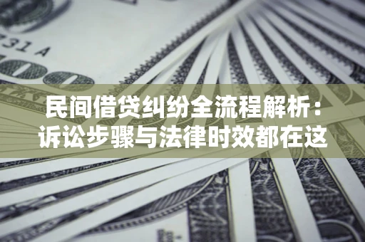 武汉民间借贷纠纷全流程解析：诉讼步骤与法律时效都在这儿了