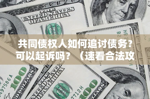 武汉共同债权人如何追讨债务？可以起诉吗？（速看合法攻略）